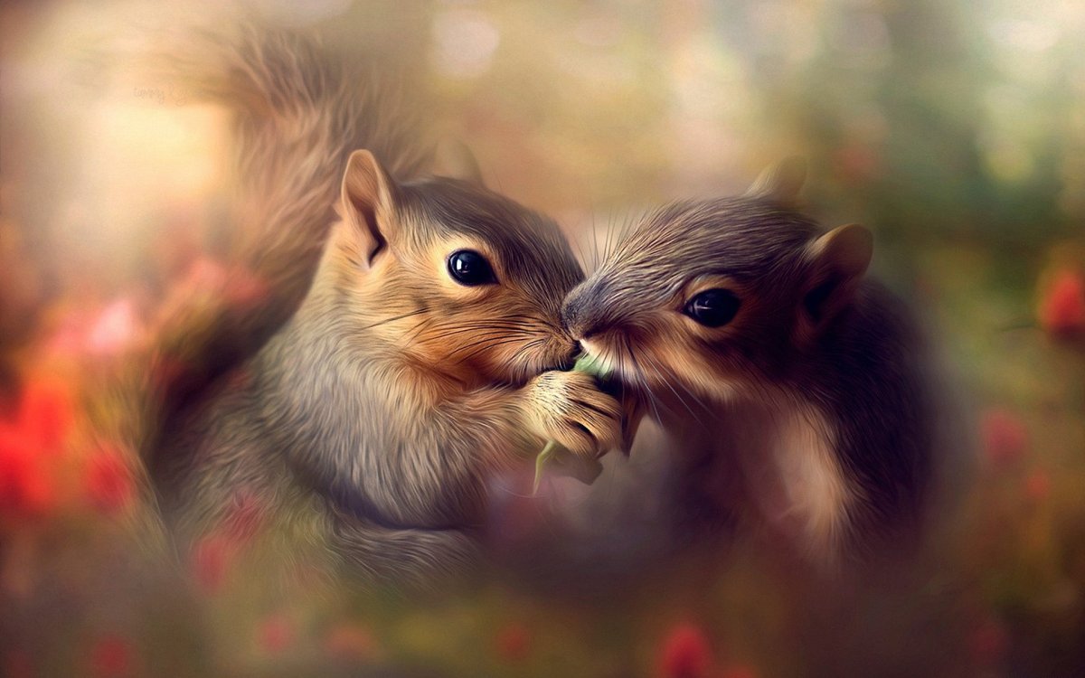 Животные любовь