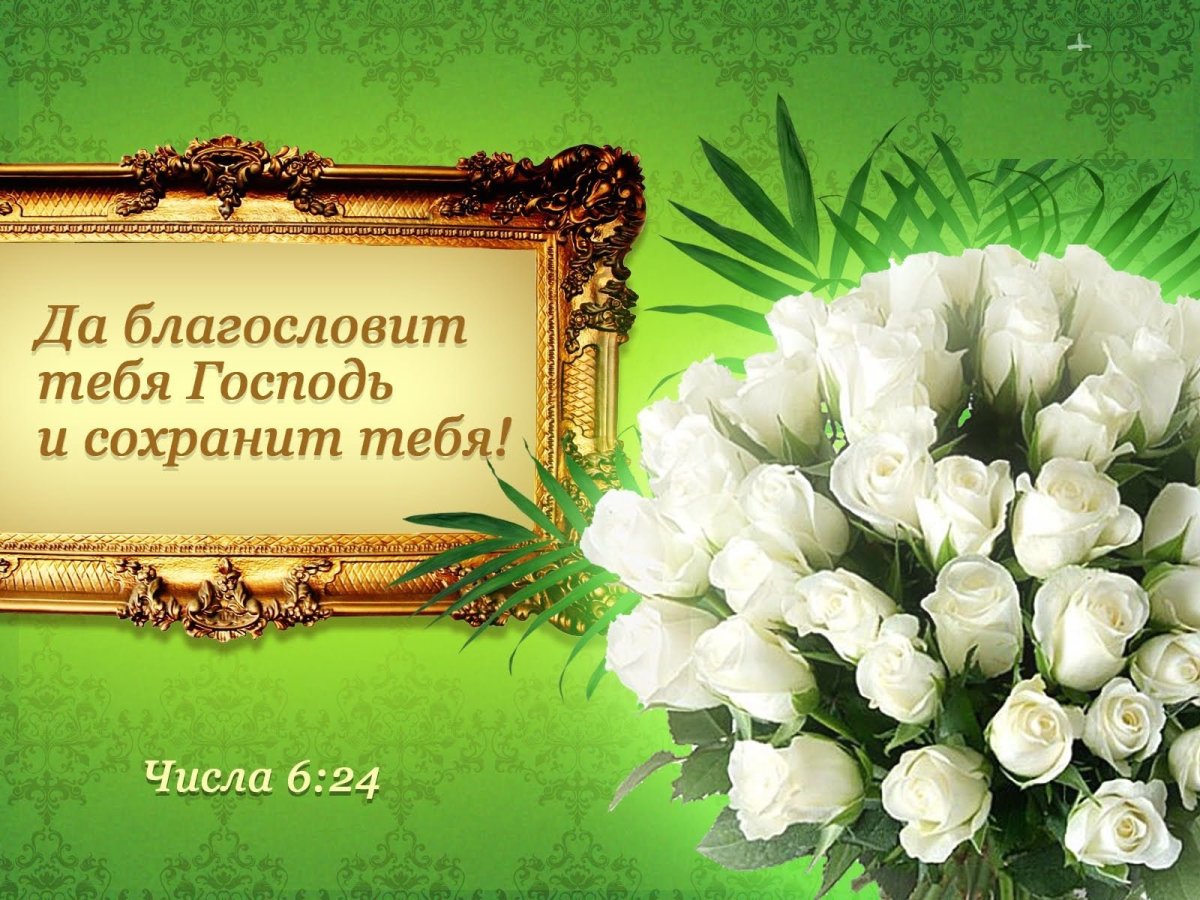 С днем рождения корабль