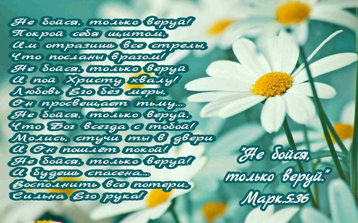 С днем рождения парусник