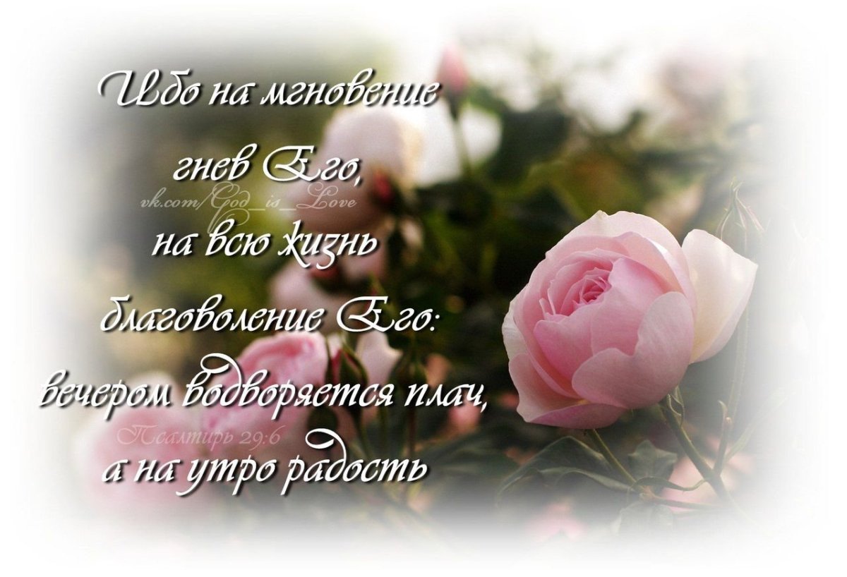 С днём рождения мужчине