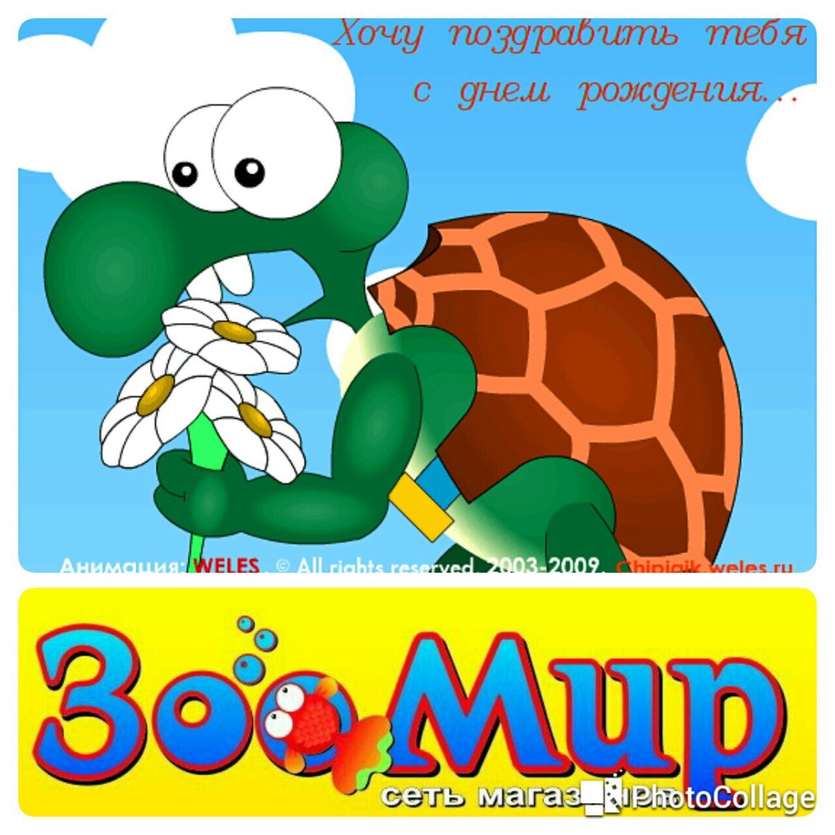 С днём рождения парню