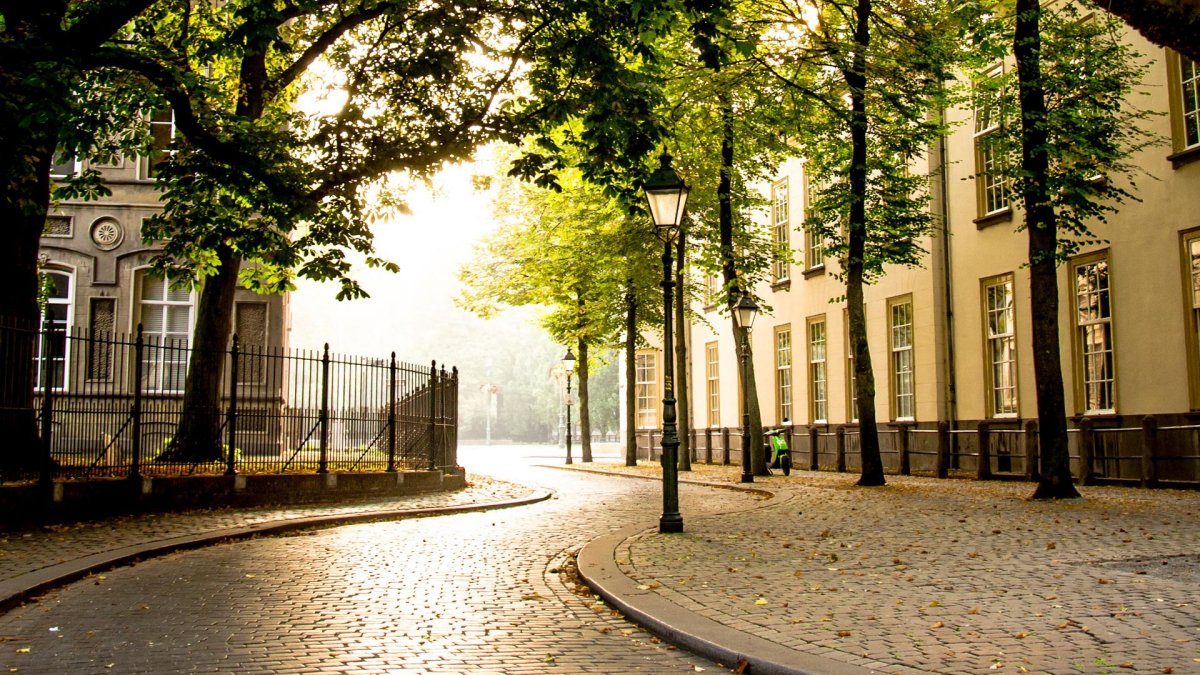 Город улица парк