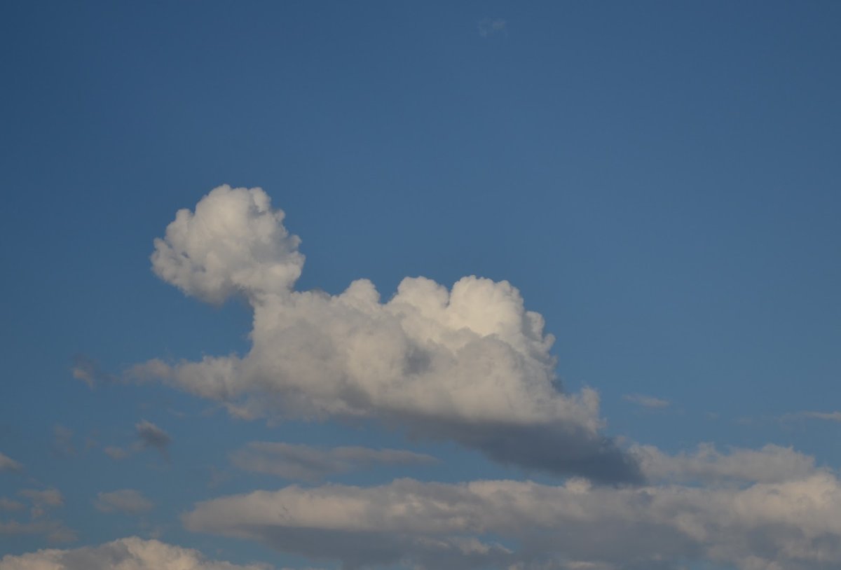 На что похоже облако