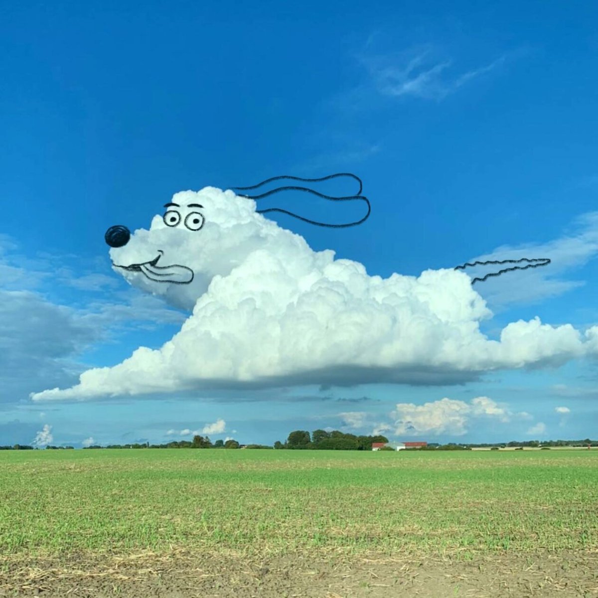Funny cloud