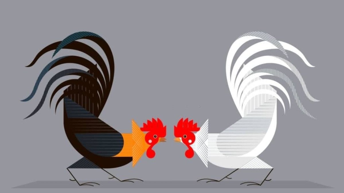 Петушиные бои векторов