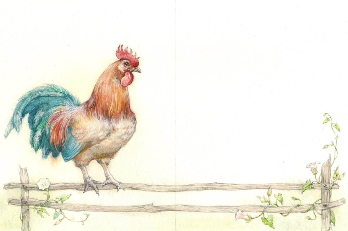 Иллюстратор Устинов петух