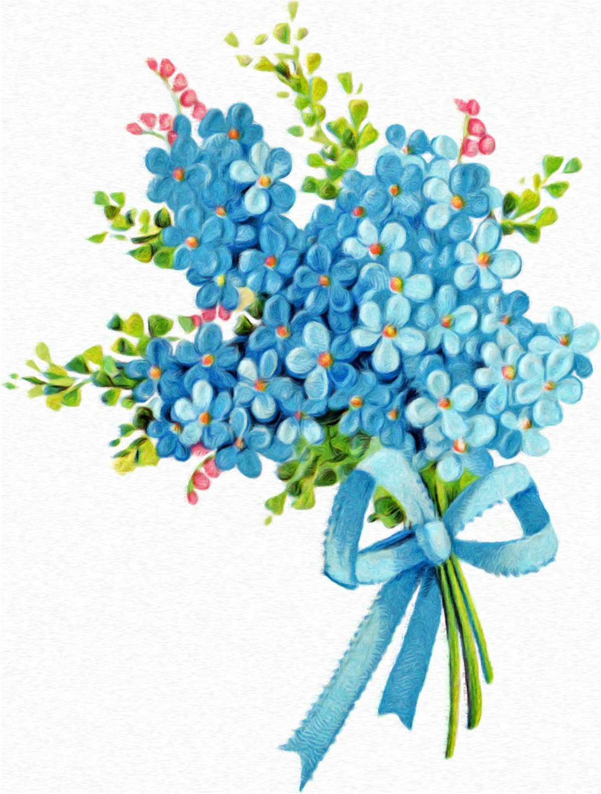 Незабудка рисунок