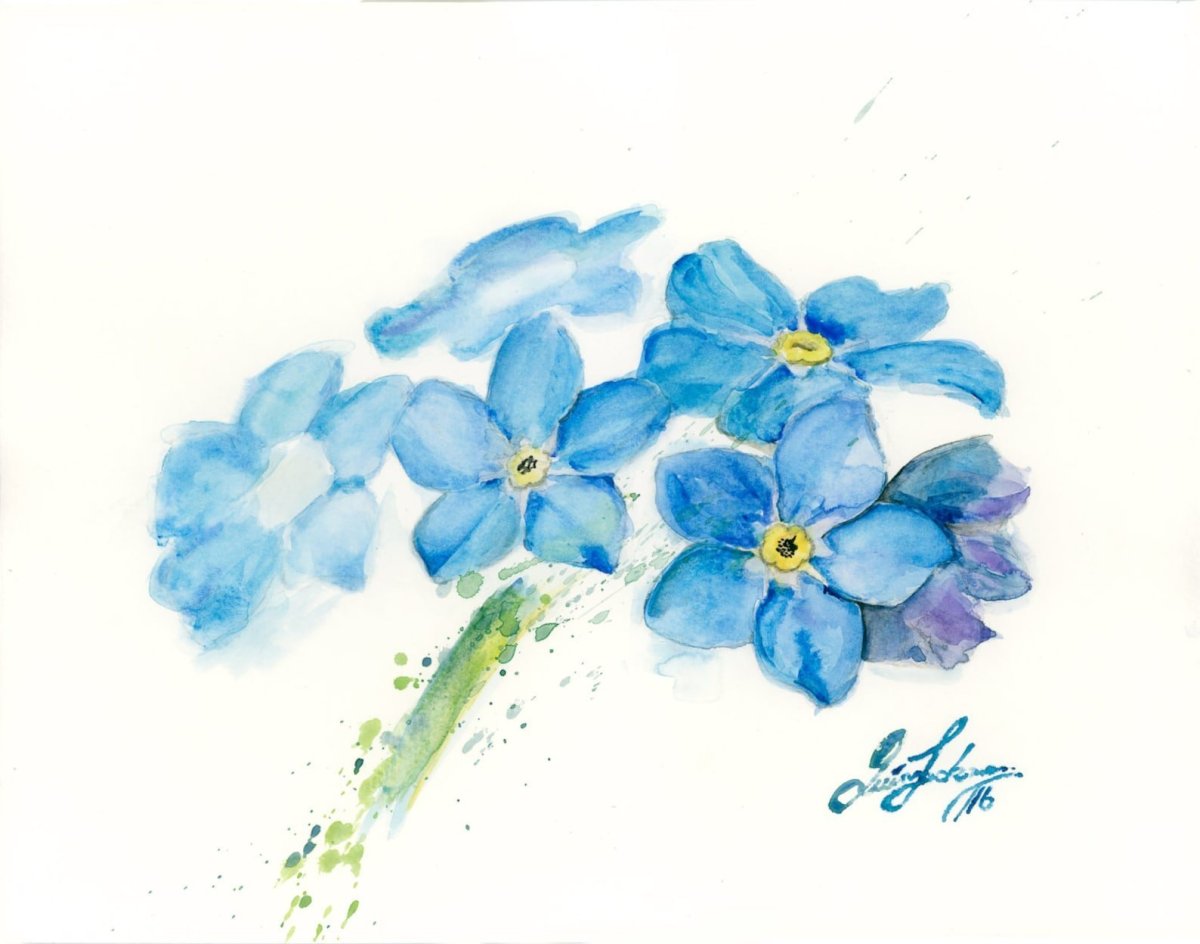 Незабудки акварелью