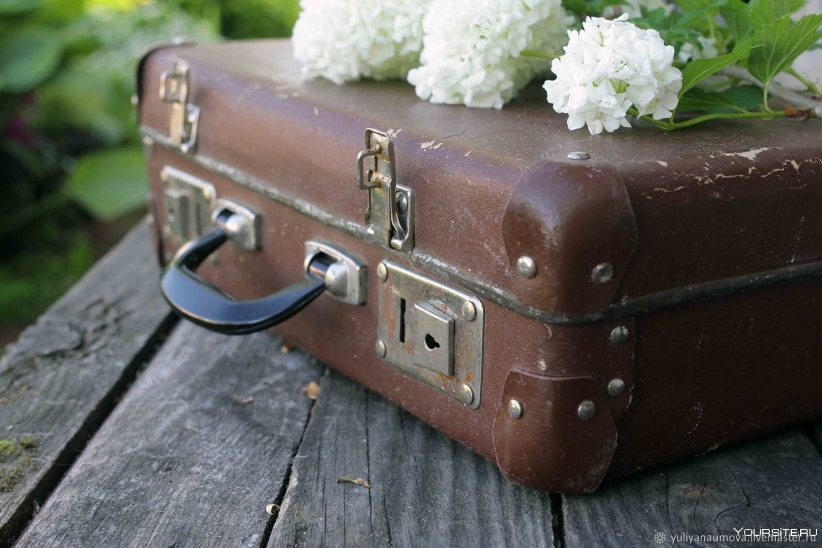Чемодан путешественника