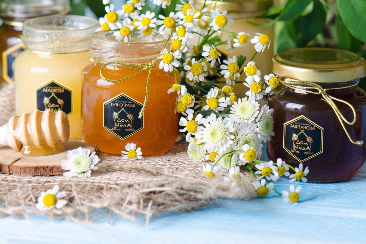 Спас медовый сообщество иллюстраторов