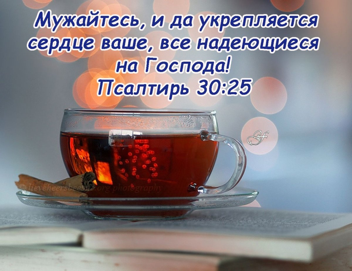 Зимнее утро с чашкой чая