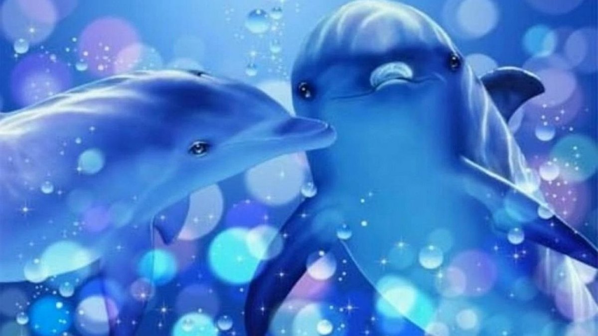 Дельфины и девушка