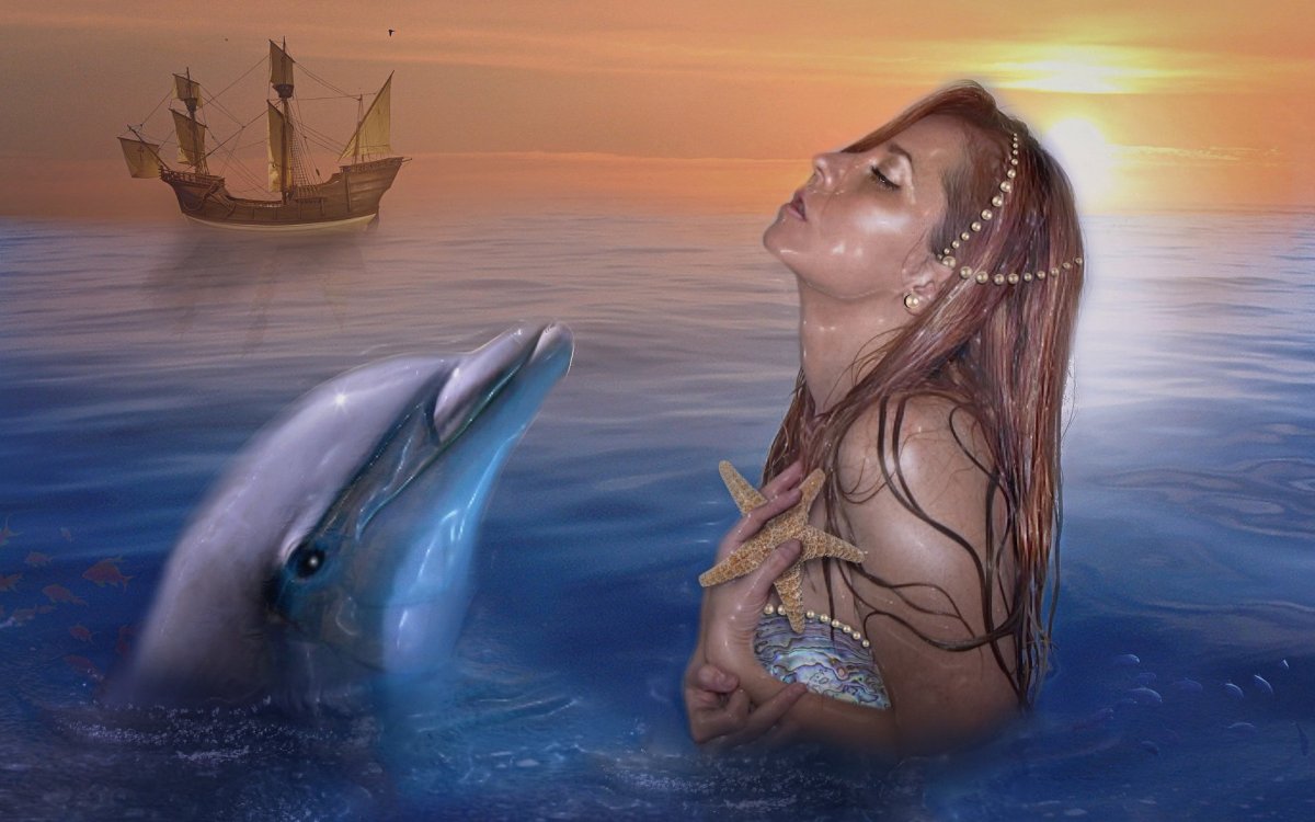 Подводный мир дельфины