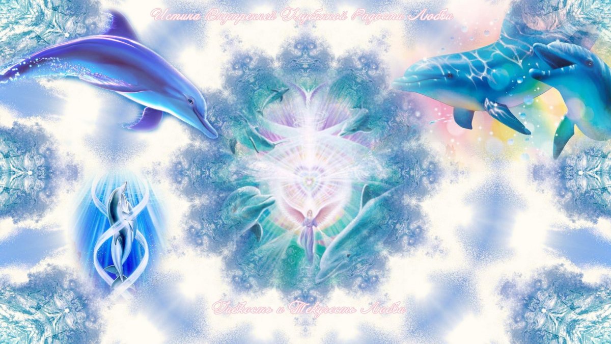 Дельфины маслом