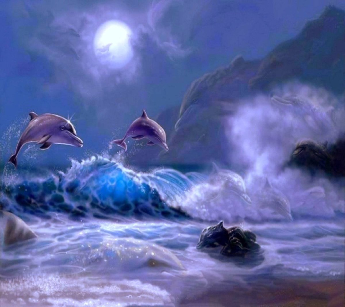 Дельфины в море