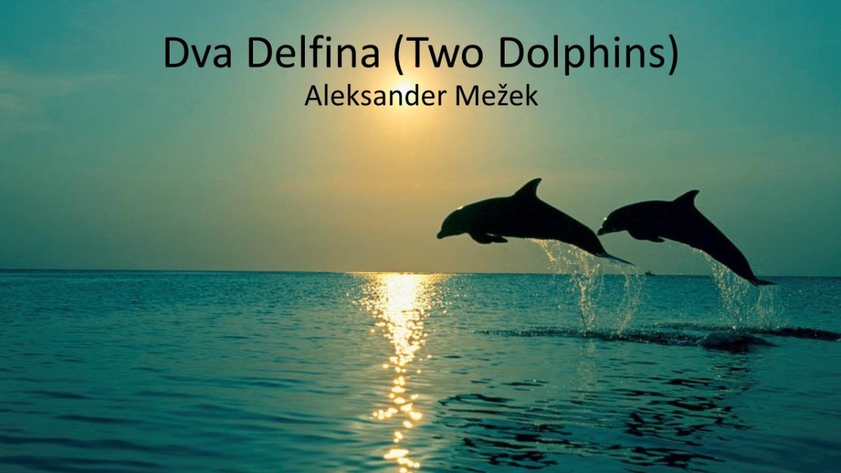 Дельфины эзотерика