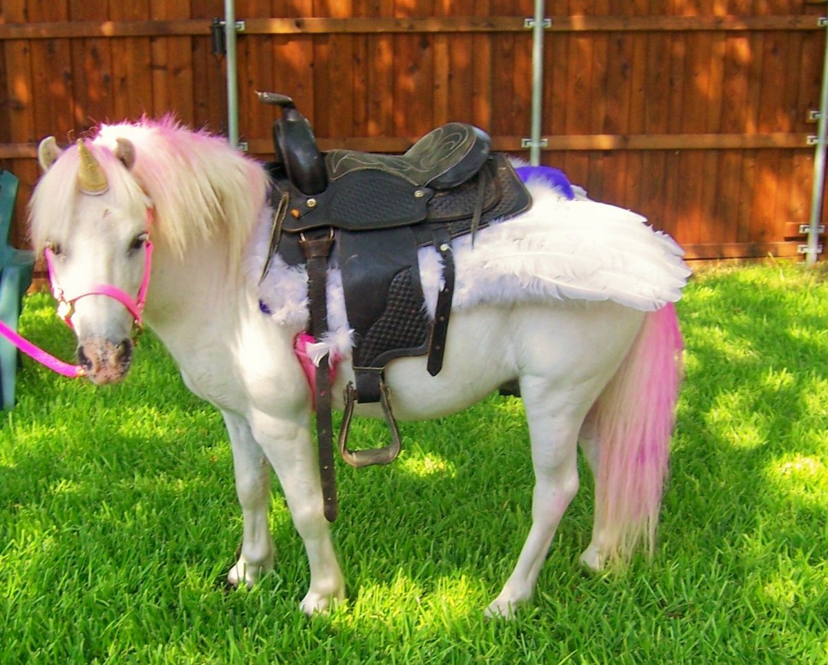 Украшение для лошади пони