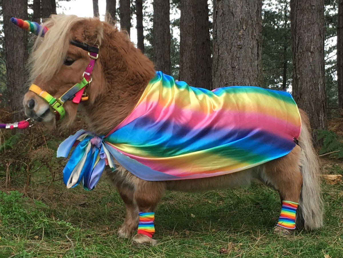 Радужные лошадки