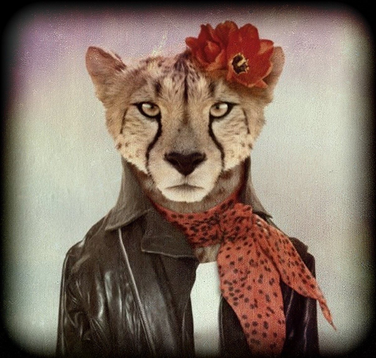 Животные в костюмах людей