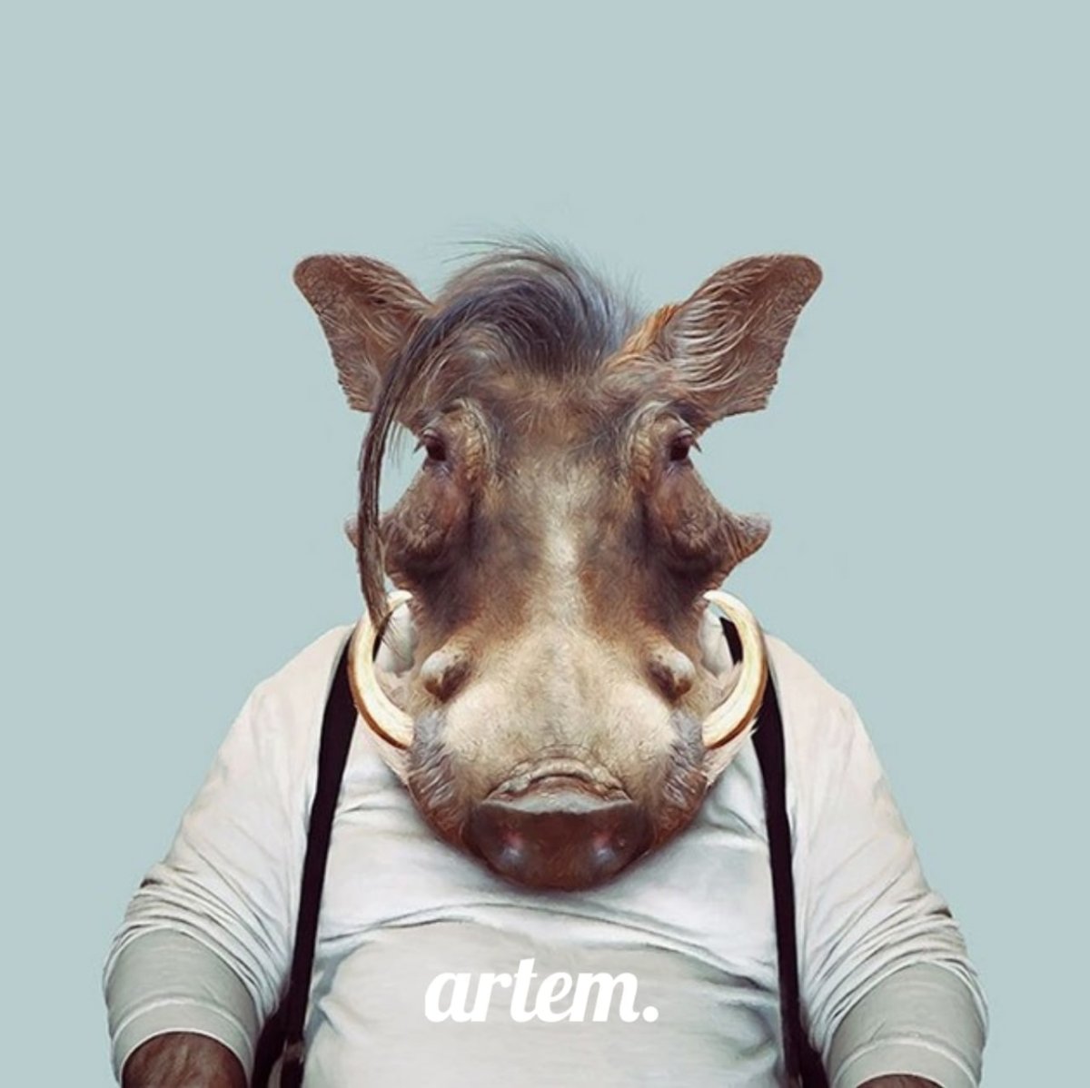 Животные в костюмах