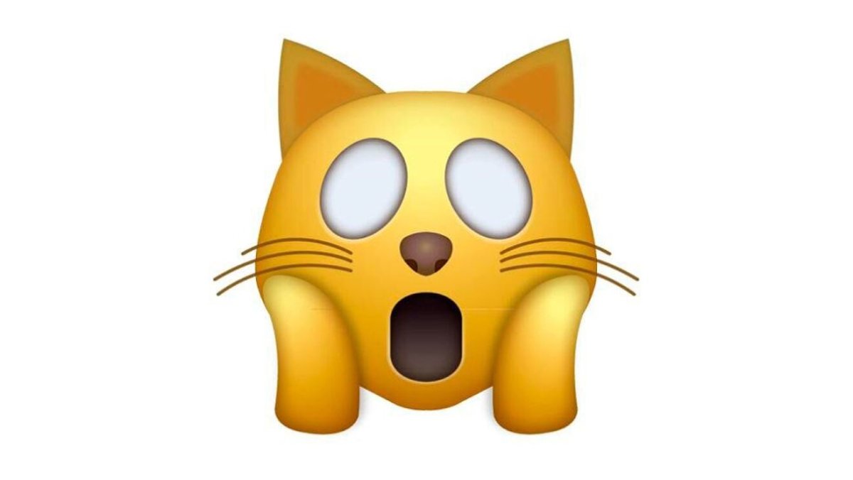 Эмодзи кот ШОК