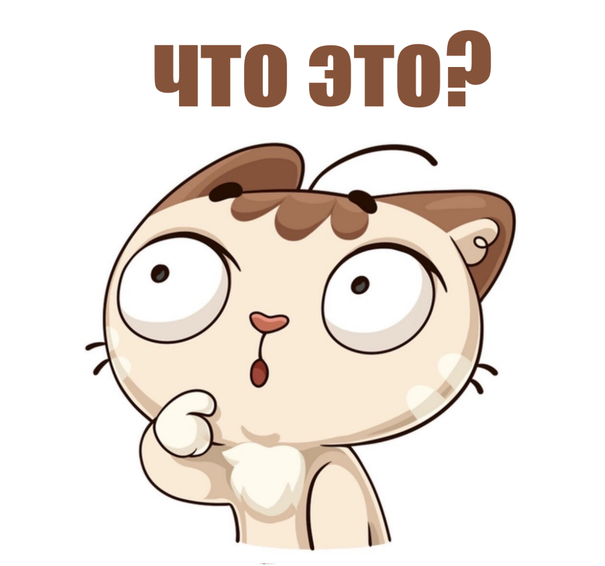 Стикеры ВК котик