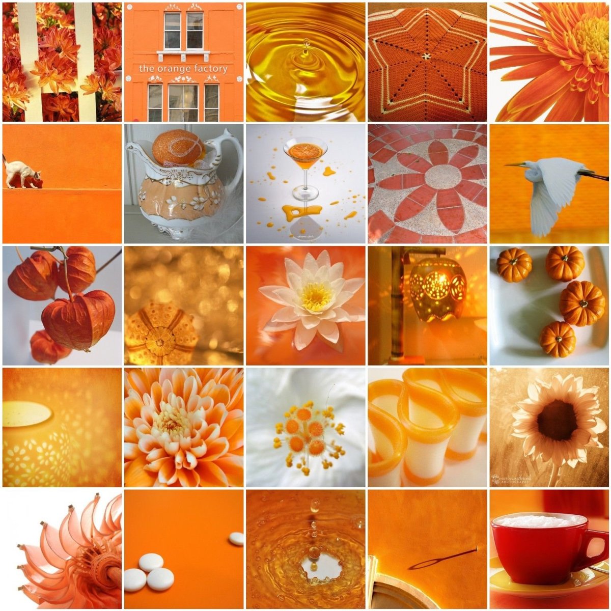 Оранжевые предметы для коллажа