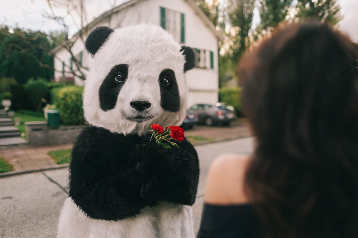 Девушка Панда