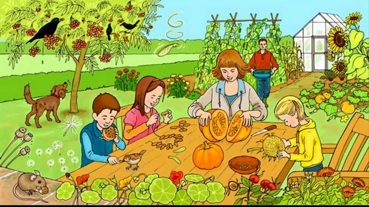 Сюжетные картины для детей