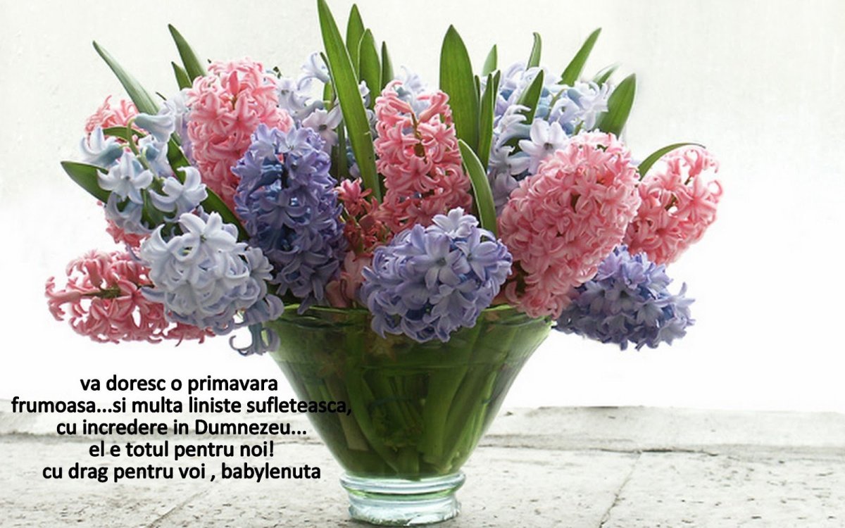 С 8 марта гиацинты