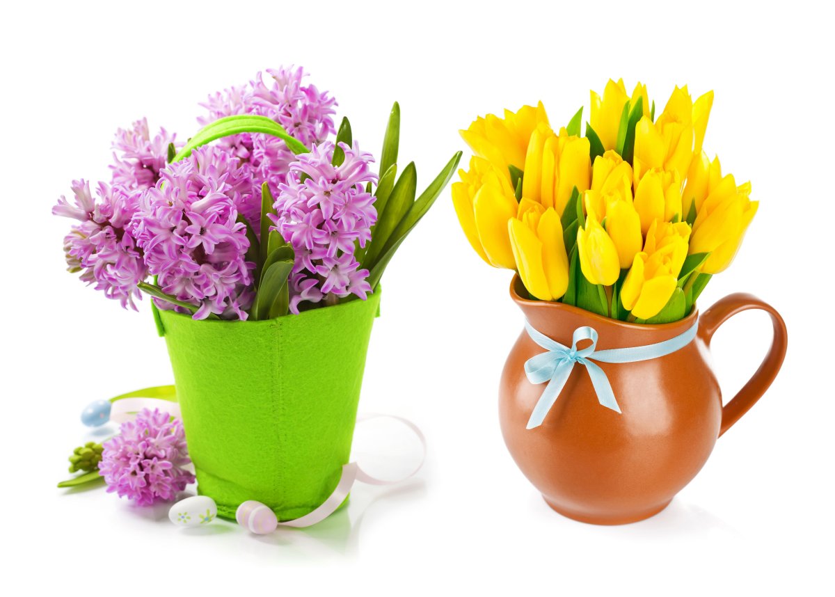 Тюльпаны цветы букет и гиацинт