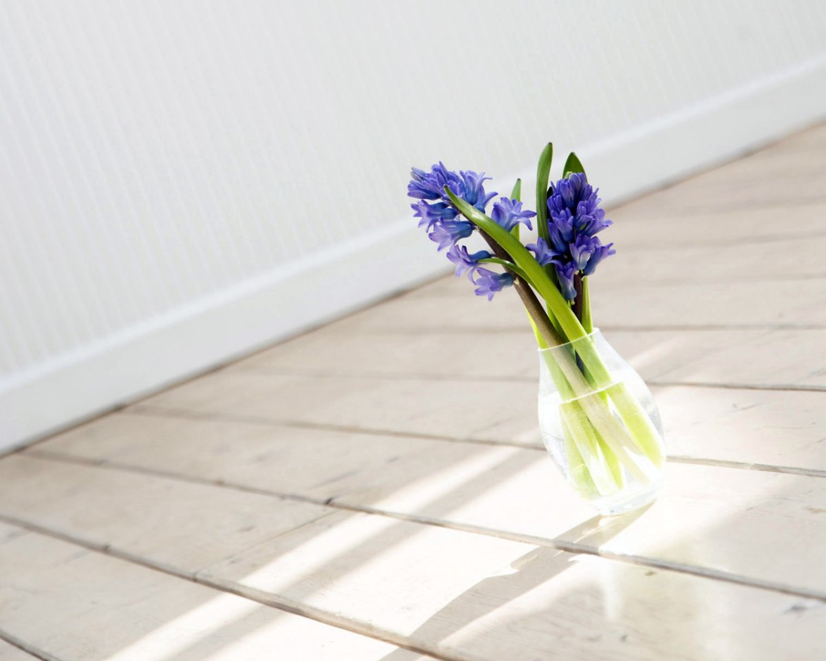 Вазочка для гиацинта