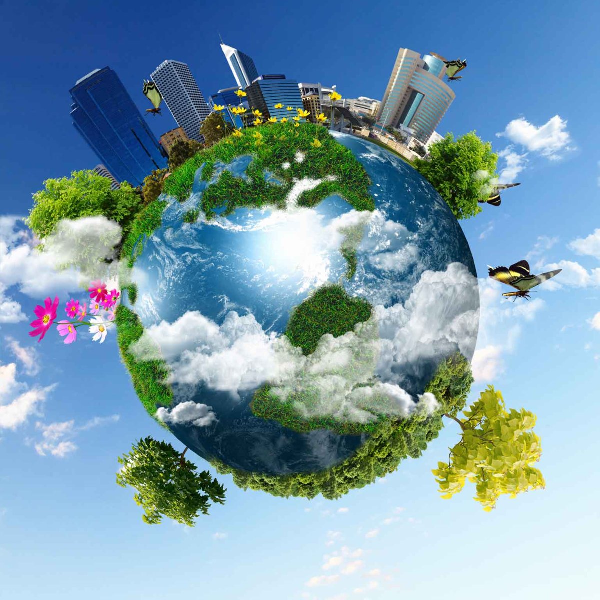 Экология земли