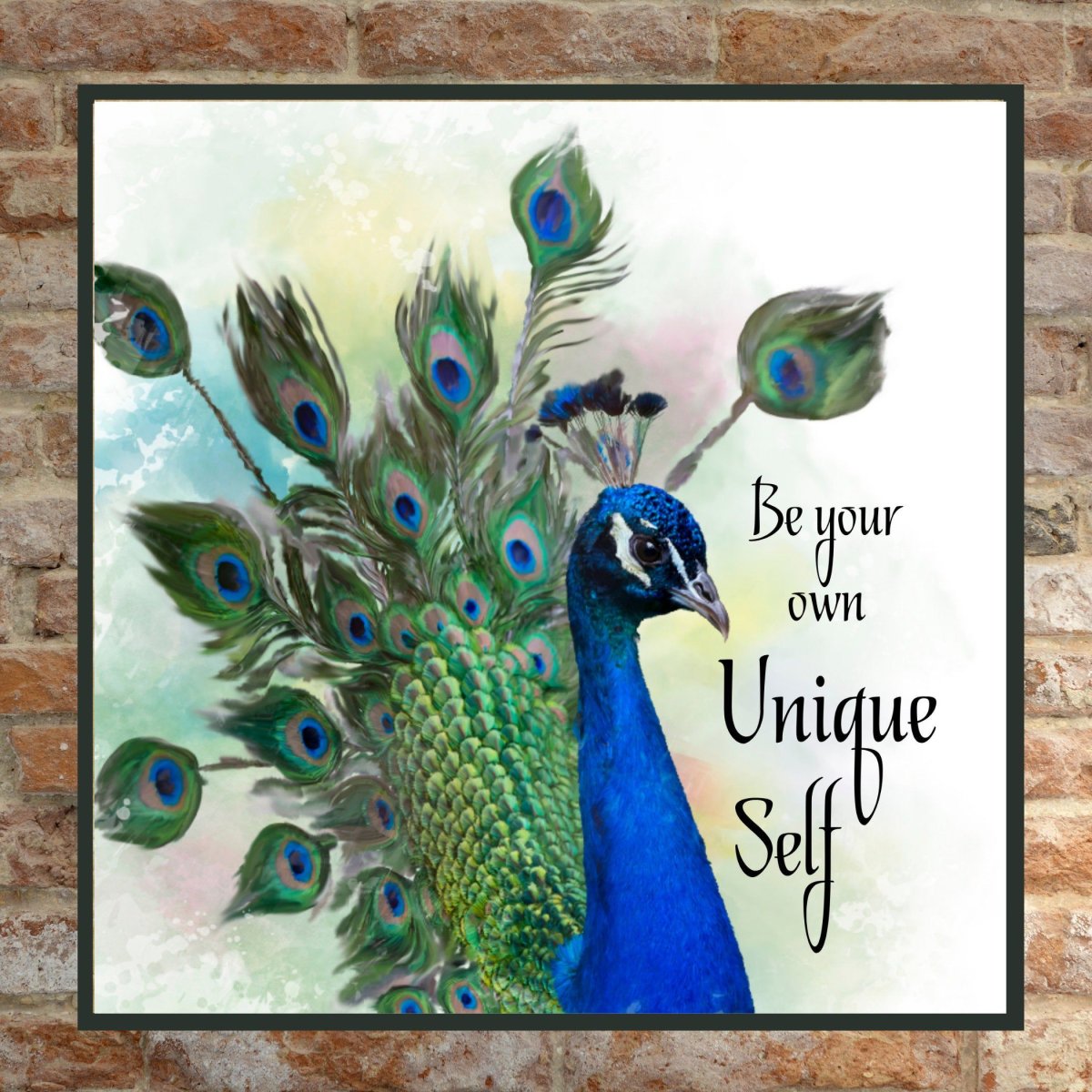 Павлин Сток иллюстрация