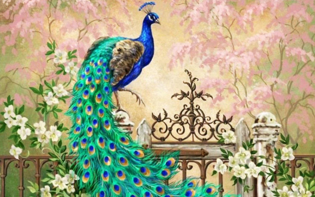 Luca-s_b460 два павлина