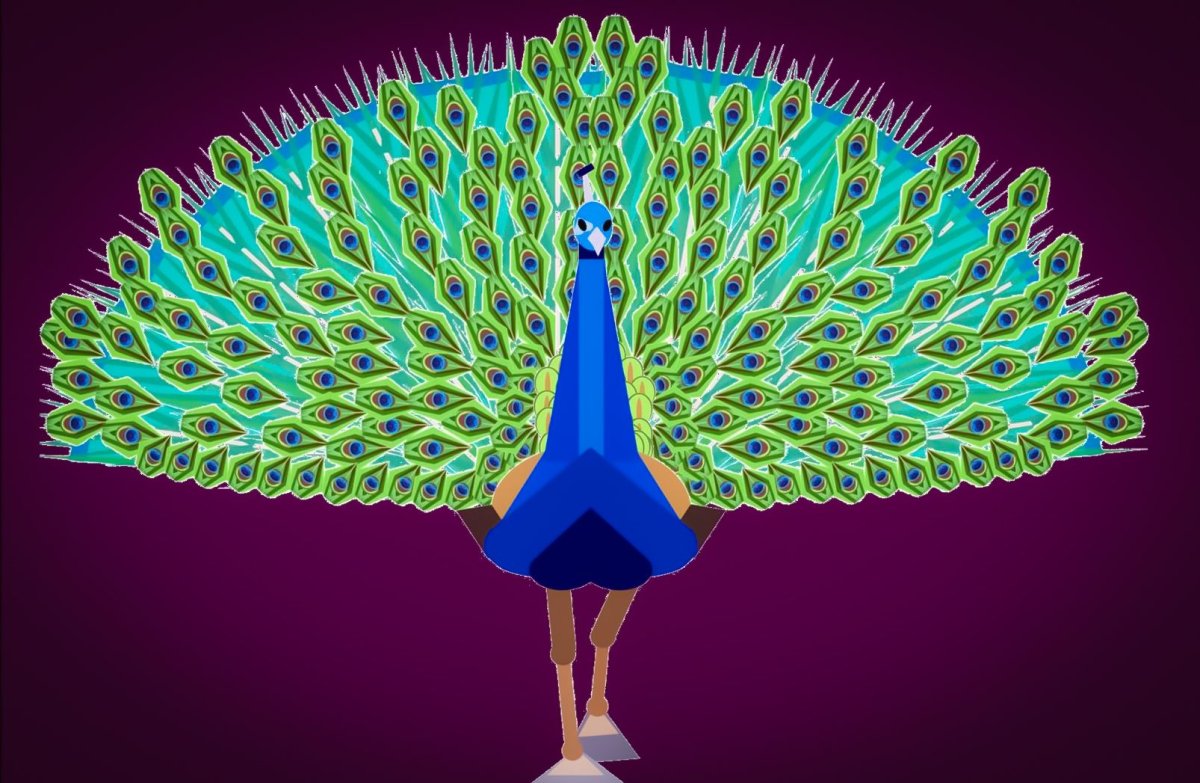 Эбру Павлин