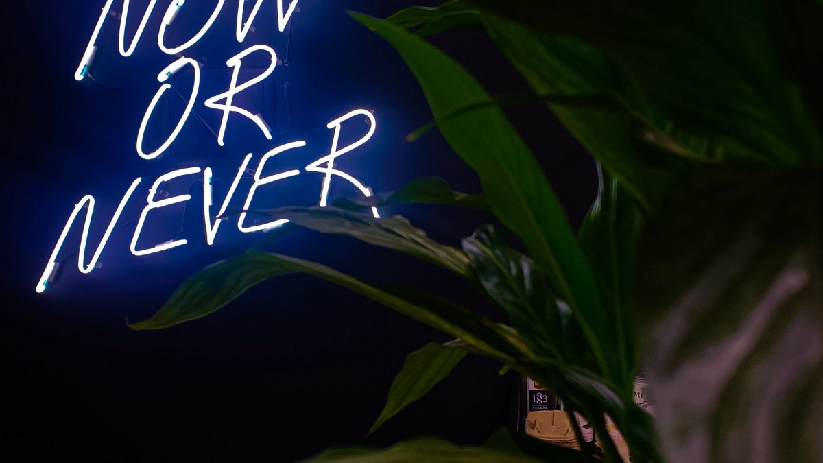 Сейчас или никогда