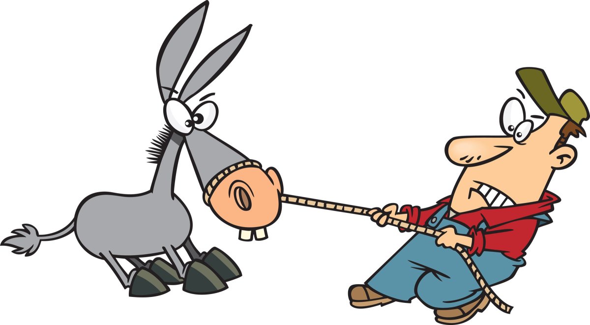 Морковь и палка