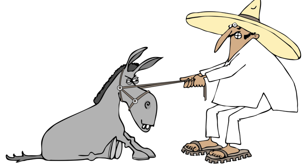 Ослик идет за морковкой