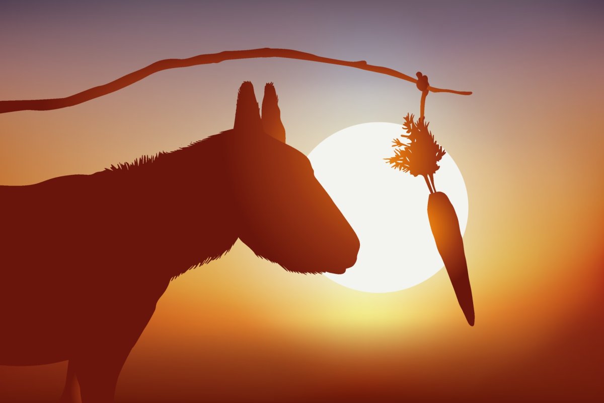 Ослик бежит за морковкой