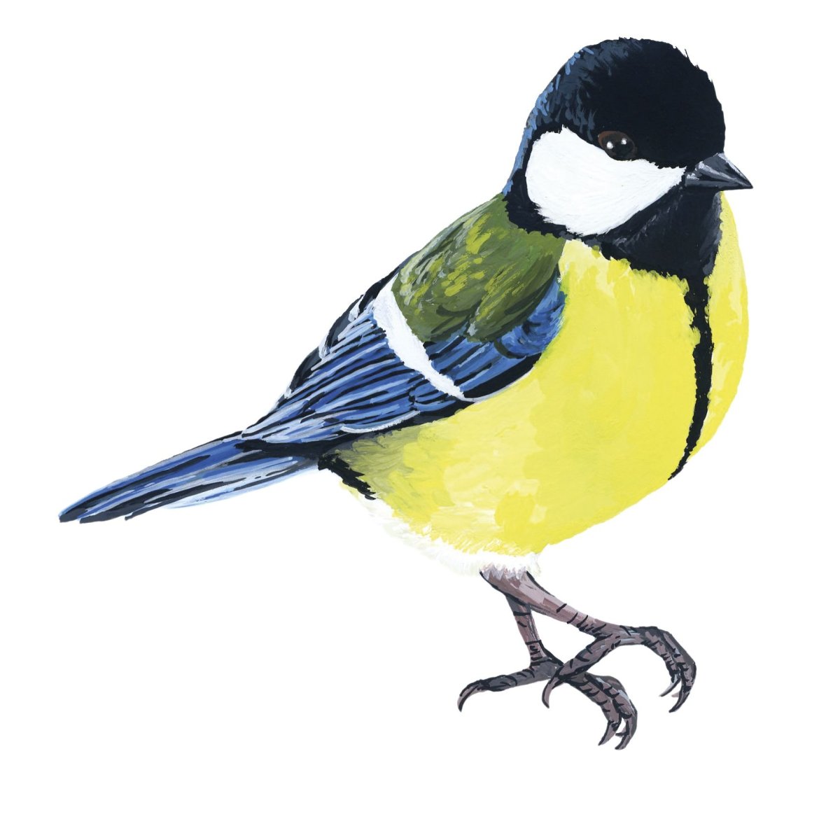 Синичка картинка для детей