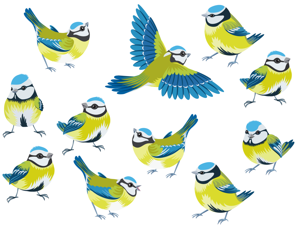 Акварельные птички Евгении Соловьевой