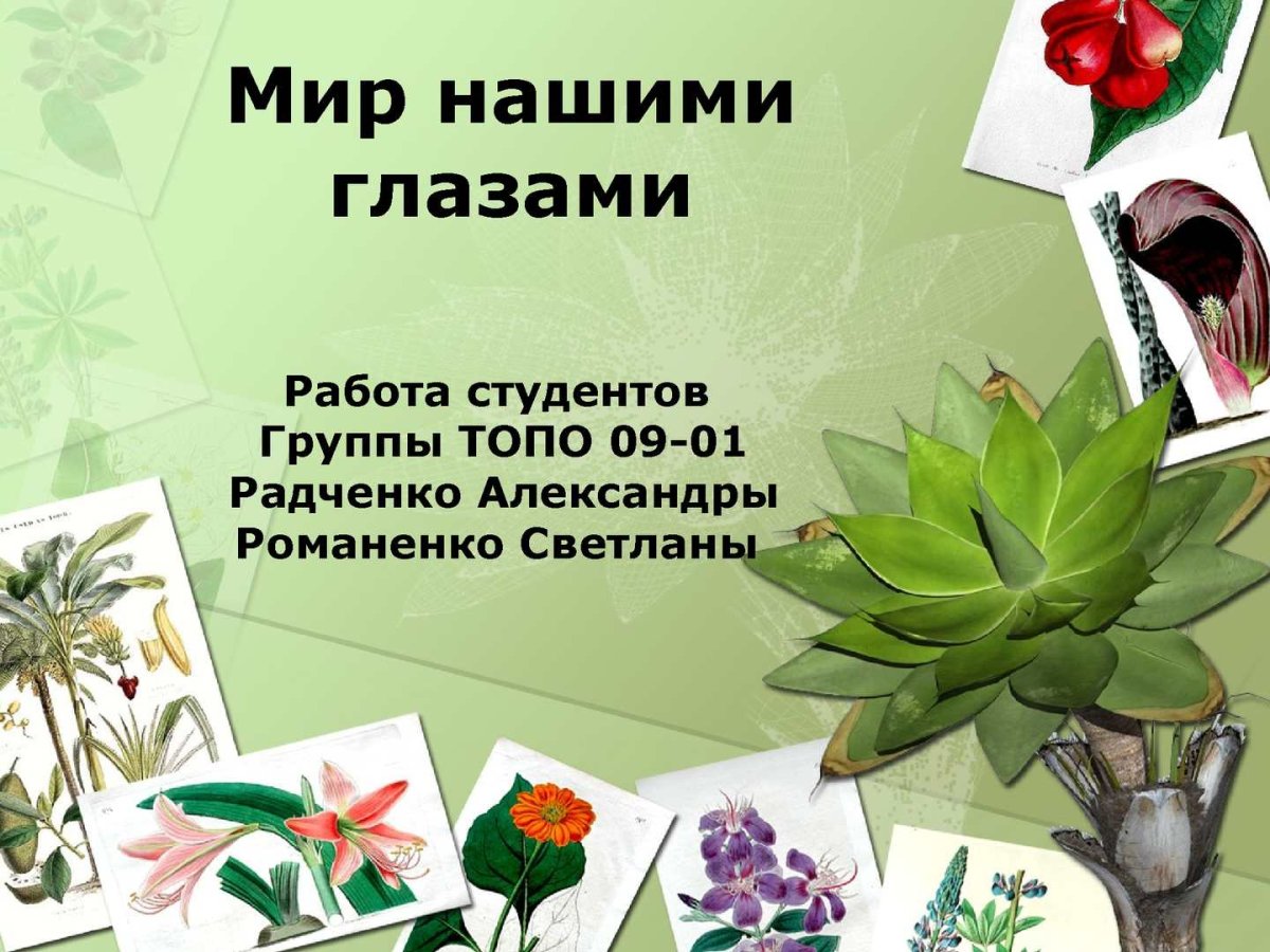 Анна Павловна учитель английского языка