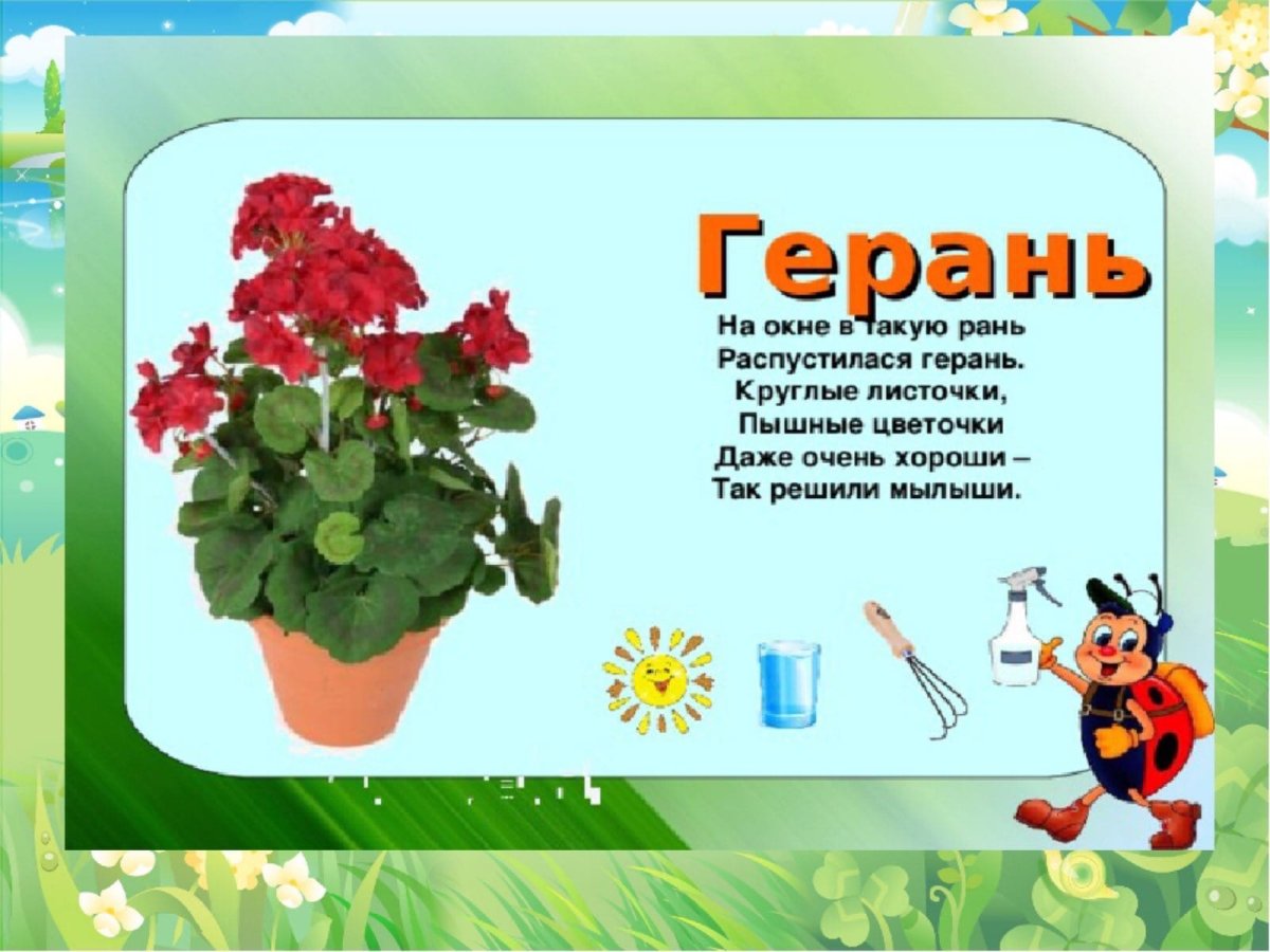 Стихи про комнатные растения для детей