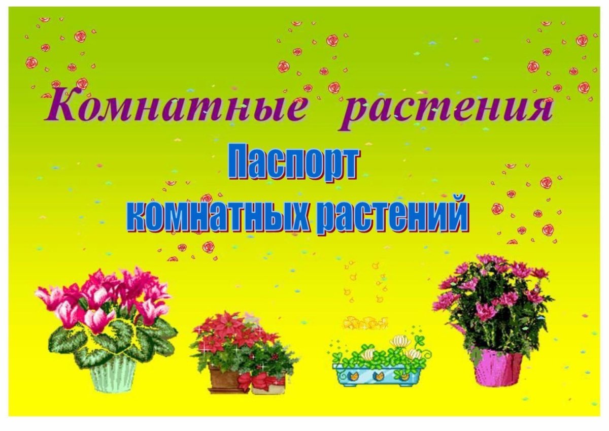 Паспорт комнатных растений