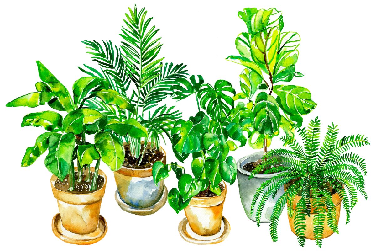 Цветок в горшке арт