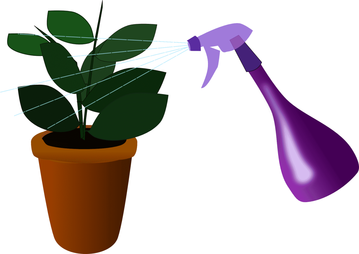 Полив растений для детей