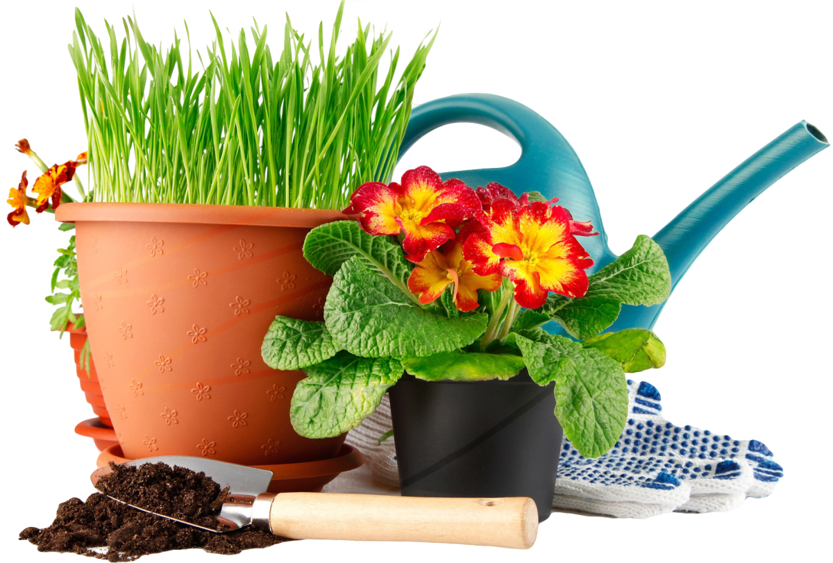 Товары для сада и огорода