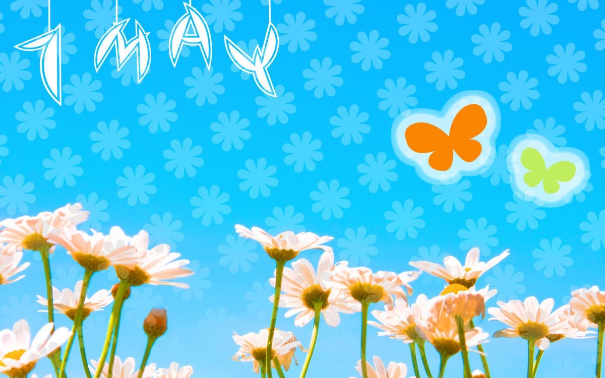 Красивый фон для аксессуаров