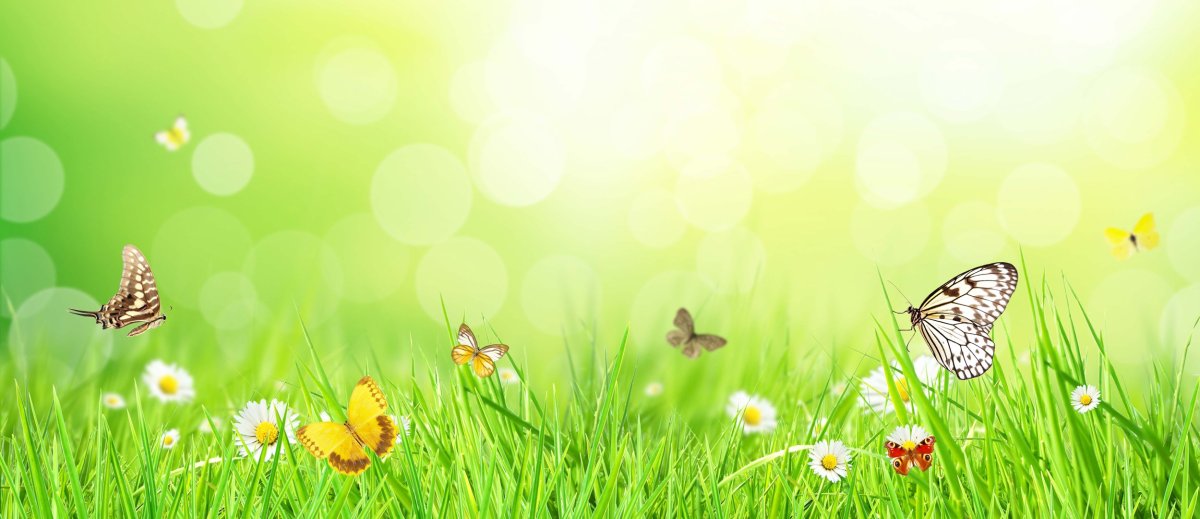 Мультяшный фон